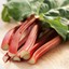 Rhubarb