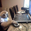 only cs_office