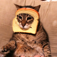 Underground™ - steam id 76561199053692976