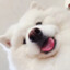 MoMoChi