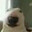 OpenAI Autistic and ADHD Bot ♿
