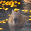 Capybara