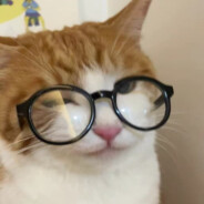 玩家头像