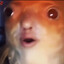 Jarbeefed