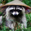 Ratonul Shaolin