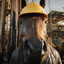 Horse Facts