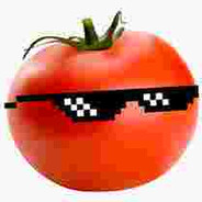 JustAnOrdinaryTomato