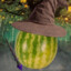 Mystifying Melon