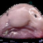 BlobFish