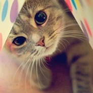 我只会心疼GieGie