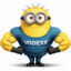 vodexx