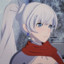 wEISs