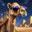 A Magical Camel's avatar