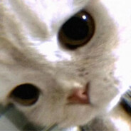 宝宝你只能爱我