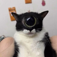 just faraday's avatar