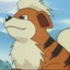 growlithe101