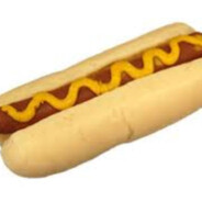 soy_dog