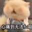 香软小馒头