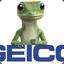 Geico™