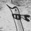 PunPun