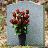 ЗЕМЛЯ ПУХОВИК