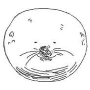 菇勇者