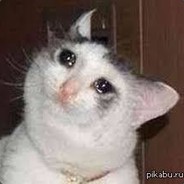 Артём в ахуе