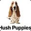 HushPuppies