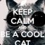 cool_cat