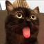 Meow