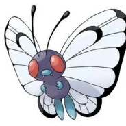 IM菜花 Who are you