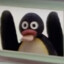 Pingu