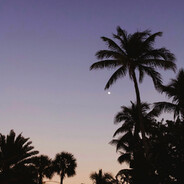 Avatar snapshot