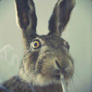 Владик ряженка