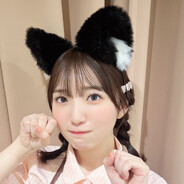 猫蛋