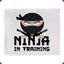 Ninja In Training