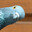 Pigeon's Avatar