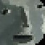 pleb