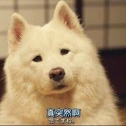 艺术就是爆炸派大星