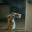 flip