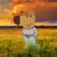 ✪✪✪✪✪