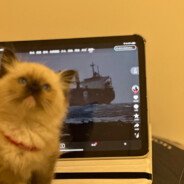 她用姨吗骗我是处