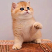 陪我去看海好吗