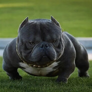 ублюдок, я подонок