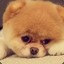 [ησσв] [ι need вooѕт]