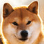 dogemaster