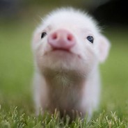 ☻SmileMore☻ - steam id 76561198263045796