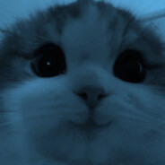 .:4ervЯk:. avatar