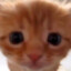 Babusio