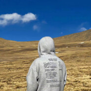 帅气迷人猪猪侠